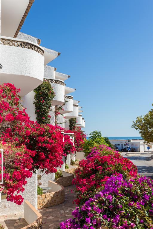 Mayer Apartments Senhora da Luz 객실 사진